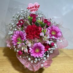 ��̓��I�s���N�ƐԂ̂܂�܂�����A�����W�����g�i�����ݑ��j