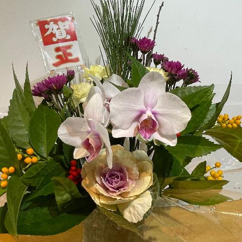 |AWIӒƐ痼QF̍،}tAWgI@~4