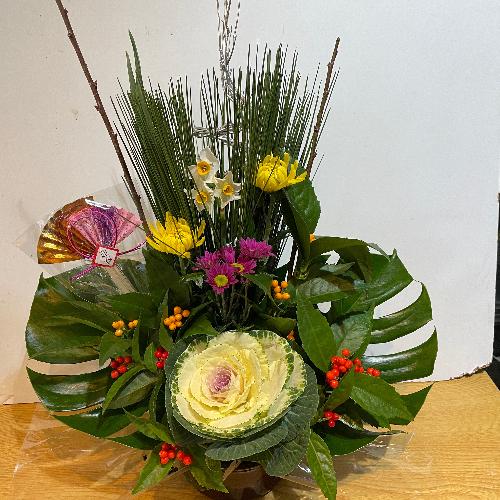 a@}tAWg@剤@2F̐痼2