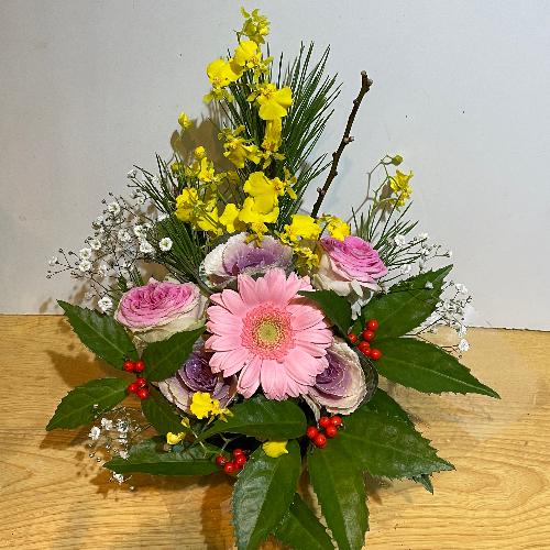 �����o���ƃI���V�W���[���̗m���}�t�A�����W�I