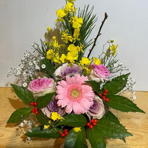 �����o���ƃI���V�W���[���̗m���}�t�A�����W�I3