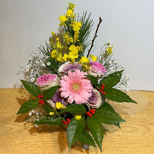 �����o���ƃI���V�W���[���̗m���}�t�A�����W�I4