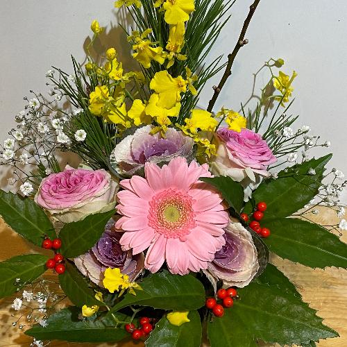 �����o���ƃI���V�W���[���̗m���}�t�A�����W�I5