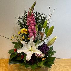 �������I�S���Ə����L���C�Ȍ}�t�A�����W�����g