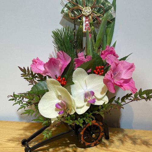 �䏊�ԁI�I�K���̉��F�̌Ӓ����̌}�t�A�����W�����g3