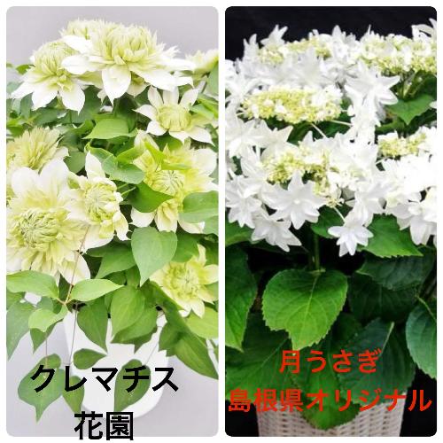 IAWTC@@Ɓ@N}`X@ԉ