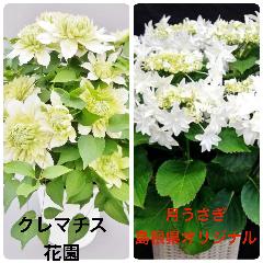 IAWTC@@Ɓ@N}`X@ԉ
