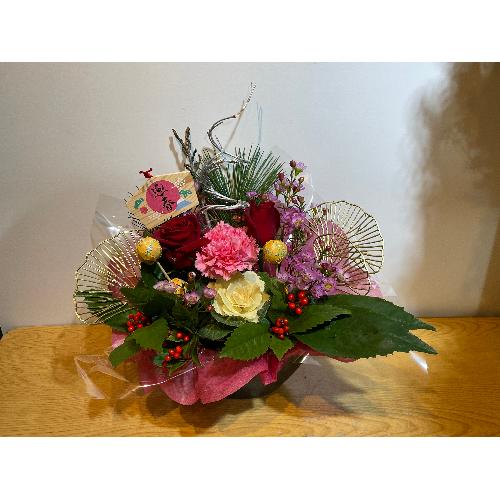 �o�������C���ɁI�m���̂������A�����W�����g�@����2