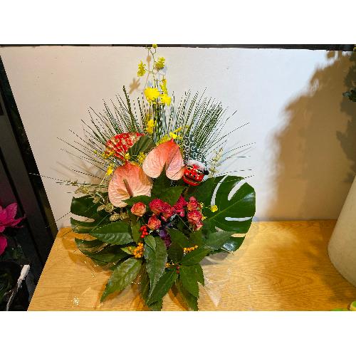 �A���X�����[���Ƒ剤�����g�������؂Ȍ}�t�A�����W�����g2