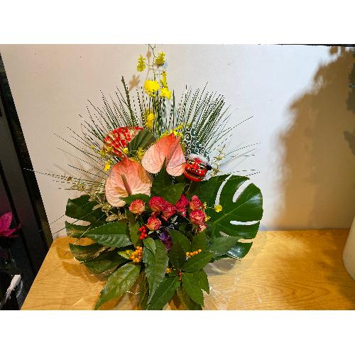 �A���X�����[���Ƒ剤�����g�������؂Ȍ}�t�A�����W�����g3