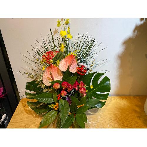 �A���X�����[���Ƒ剤�����g�������؂Ȍ}�t�A�����W�����g4