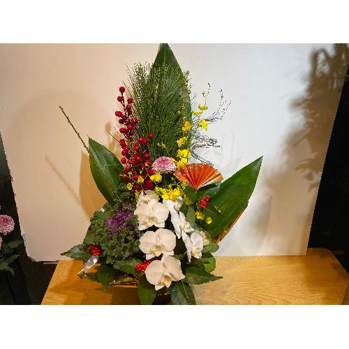 �I���V�W���[���ƌӒ������Y��Ȍ}�t�A�����W�����g