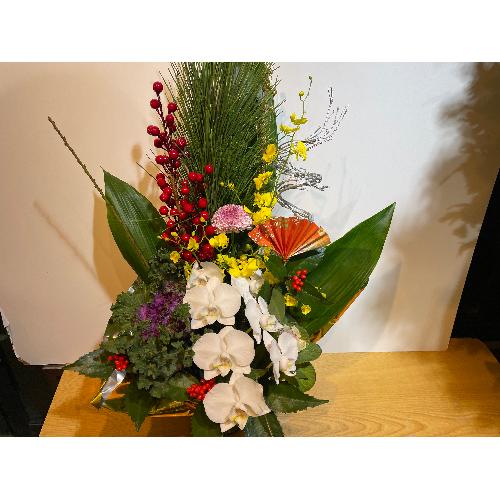 �I���V�W���[���ƌӒ������Y��Ȍ}�t�A�����W�����g2