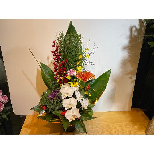 �I���V�W���[���ƌӒ������Y��Ȍ}�t�A�����W�����g3