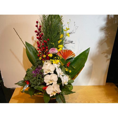 �I���V�W���[���ƌӒ������Y��Ȍ}�t�A�����W�����g4