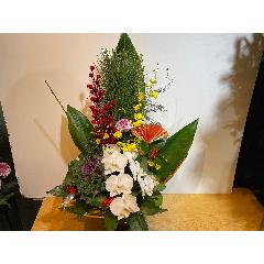 �I���V�W���[���ƌӒ������Y��Ȍ}�t�A�����W�����g