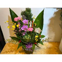 �Ӓ����Ə��������I�ȍ��؂Ȍ}�t�A�����W�����g�I