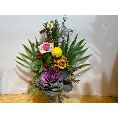 �|���@���邢�e�����C���ɐ�������āI�I�}�t�A�����W