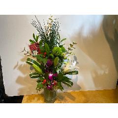 �|���I�S���ƃO���[���̃s���|���e�̌}�t�A�����W�I