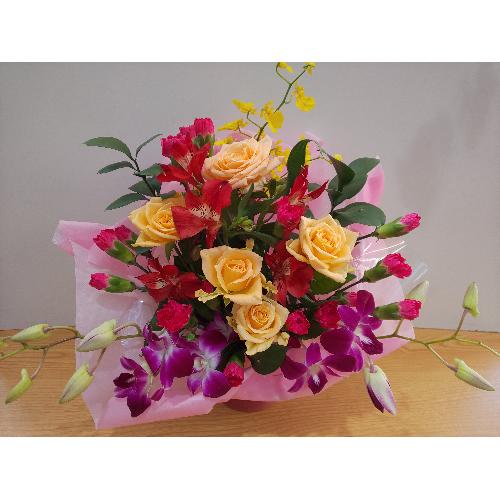 �o���ƃf���t�@���̃A�����W�����g�@4