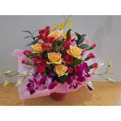 �o���ƃf���t�@���̃A�����W�����g�@