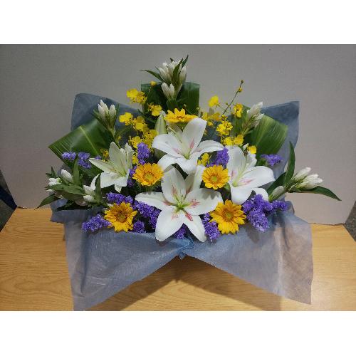 �����Ђ܂�肪�������䋟���A�����W�����g�I