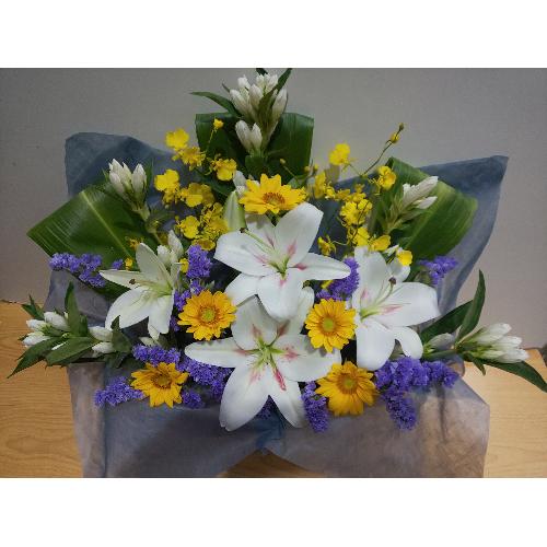 �����Ђ܂�肪�������䋟���A�����W�����g�I3