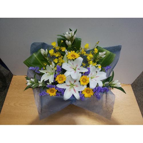 �����Ђ܂�肪�������䋟���A�����W�����g�I4