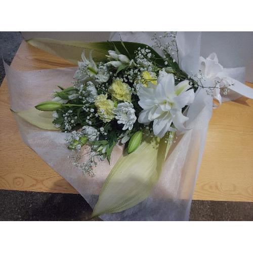 ���d�̕S�����������A�䋟���ԑ��I�a��