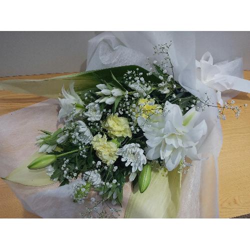 ���d�̕S�����������A�䋟���ԑ��I�a��3