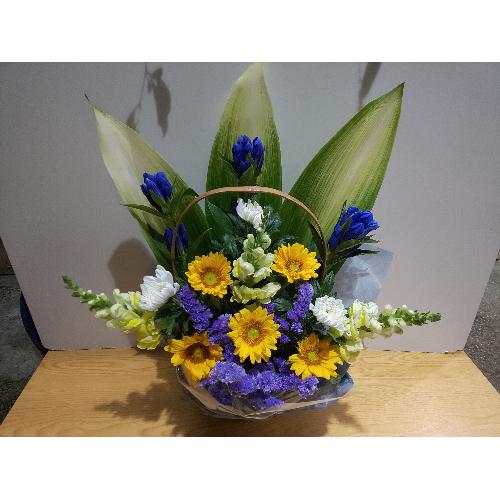 �Ђ܂�����@���؂Ȍ䋟���A�����W�����g�@