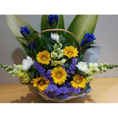 �Ђ܂�����@���؂Ȍ䋟���A�����W�����g�@2