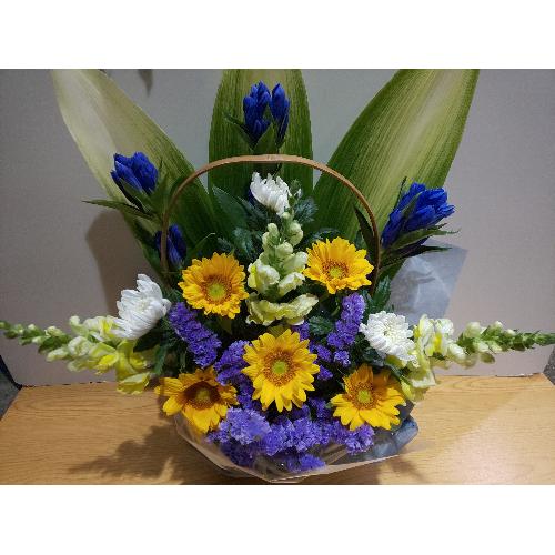 �Ђ܂�����@���؂Ȍ䋟���A�����W�����g�@4