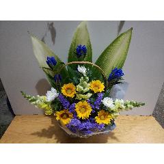 �Ђ܂�����@���؂Ȍ䋟���A�����W�����g�@