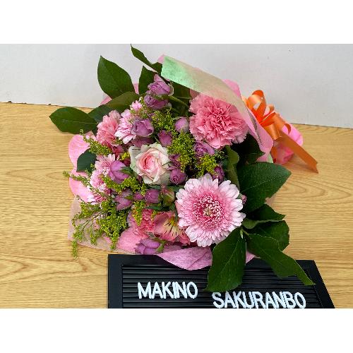 �s���N�s�����̉����ԑ��I4