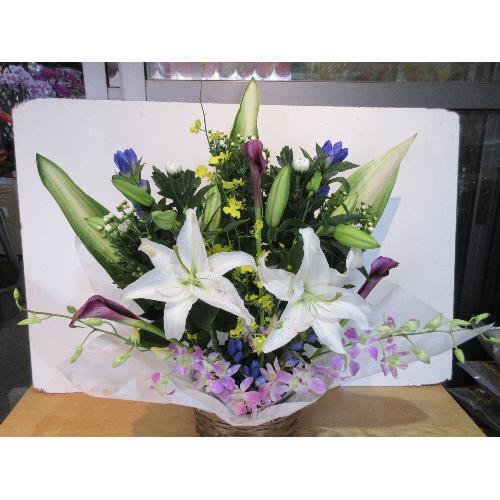 �S���ƃf���t�@�������؂ɓ������������A�����W�����g