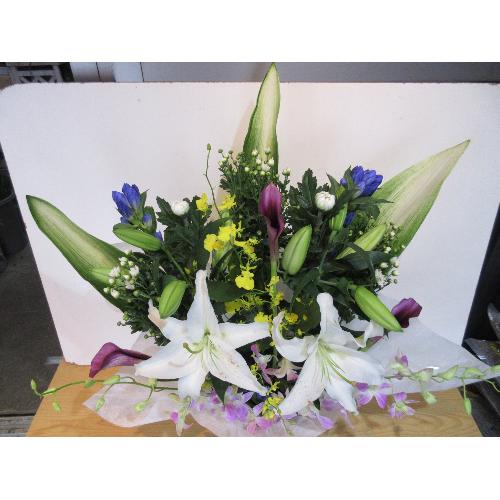 �S���ƃf���t�@�������؂ɓ������������A�����W�����g2