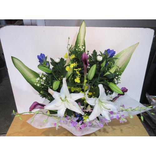 �S���ƃf���t�@�������؂ɓ������������A�����W�����g3