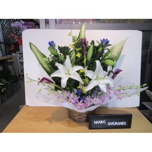 �S���ƃf���t�@�������؂ɓ������������A�����W�����g4