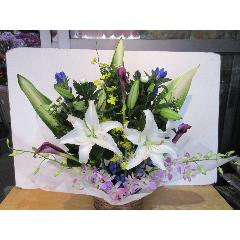 �S���ƃf���t�@�������؂ɓ������������A�����W�����g