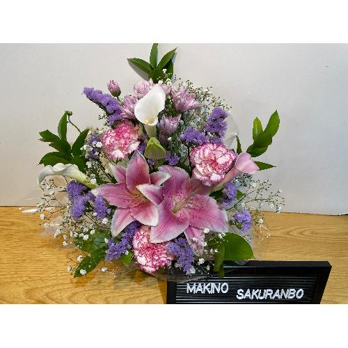 �����I�s���N�ƃu���[�̂������A�����W�����g2