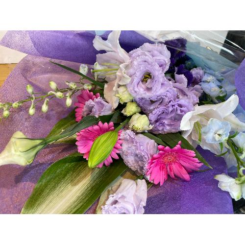 �g���R�L�L���E�����C���ɁI�p�[�v���n�ԑ��I3