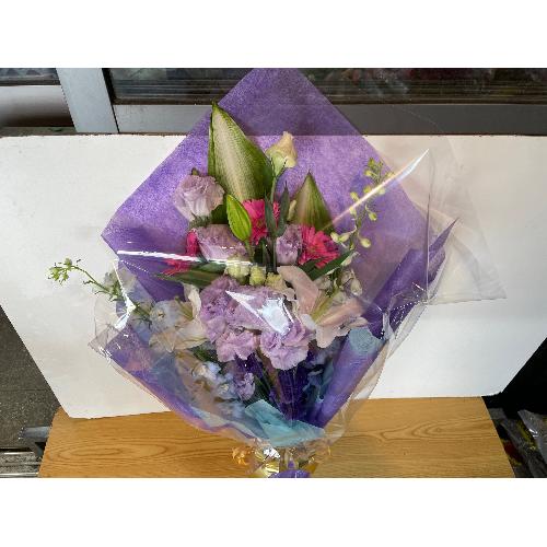 �g���R�L�L���E�����C���ɁI�p�[�v���n�ԑ��I4