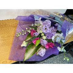 �g���R�L�L���E�����C���ɁI�p�[�v���n�ԑ��I