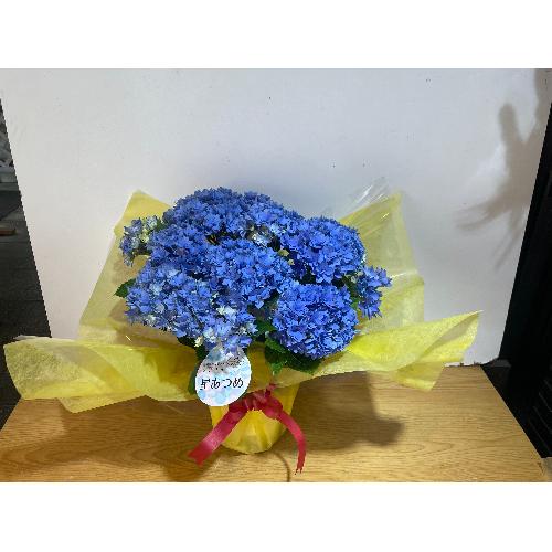 ��̓��@�A�W�T�C�@�������󏭕i��@�[���@�u���[4