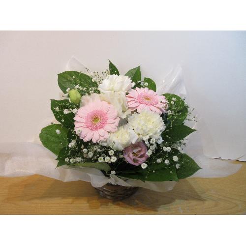 �s���N�Ɣ��̉����M���b�Ƌl�܂����������A�����W�����g4
