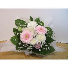 �s���N�Ɣ��̉����M���b�Ƌl�܂����������A�����W�����g