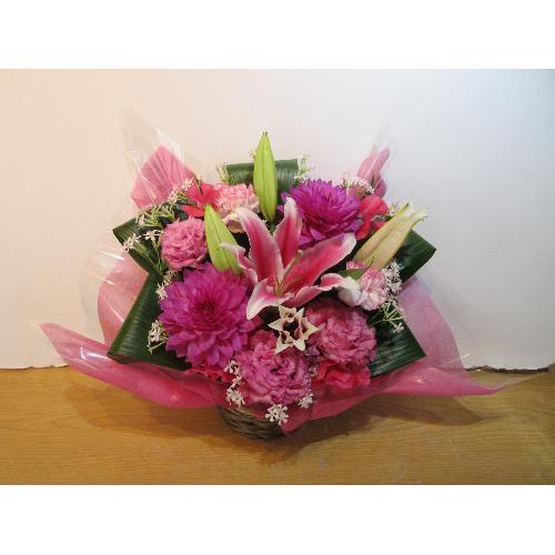 ���邢�s���N����������g�����s���N�s�����̃A�����W�����g2