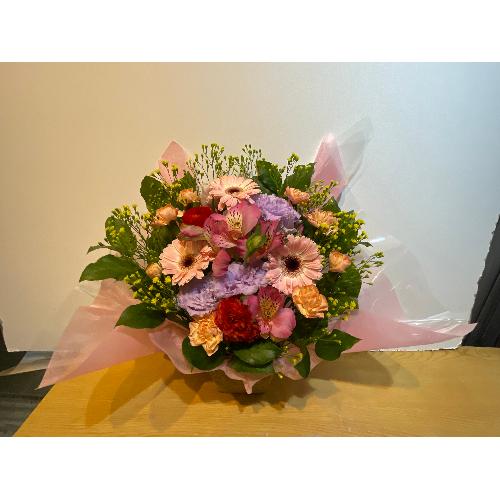 �s���N�̃K�[�x���ƃg���R�L�L���E���o�b�`���̃A�����W�����g2