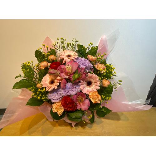 �s���N�̃K�[�x���ƃg���R�L�L���E���o�b�`���̃A�����W�����g3